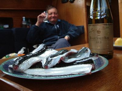 British mackerel 2.JPG (23395 bytes)